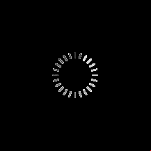 loader portal diario online